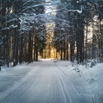 Vehicle Winter Preparedness